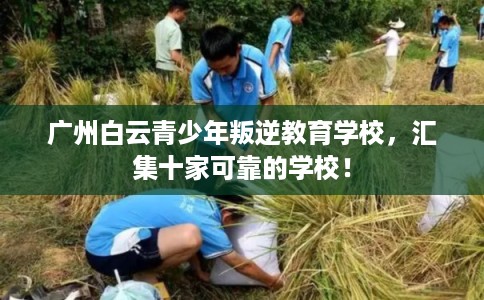 广州白云青少年叛逆教育学校，汇集十家可靠的学校！