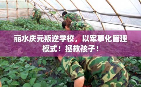丽水庆元叛逆学校，以军事化管理模式！拯救孩子！