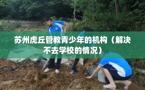 苏州虎丘管教青少年的机构（解决不去学校的情况）