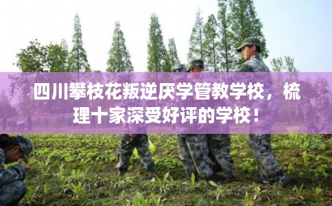 四川攀枝花叛逆厌学管教学校,梳理十家深受好评的学校! 四川攀枝花叛逆厌学管教学校,梳理十家深受好评的学校!