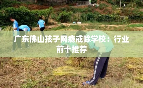 广东佛山孩子网瘾戒除学校：行业前十推荐