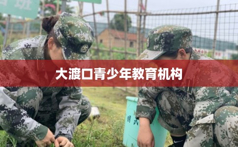 大渡口青少年教育机构