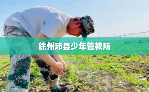 徐州沛县少年管教所
