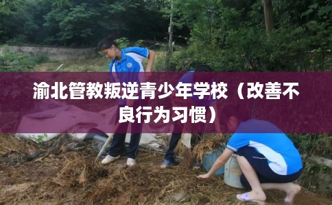 渝北管教叛逆青少年学校（改善不良行为习惯）