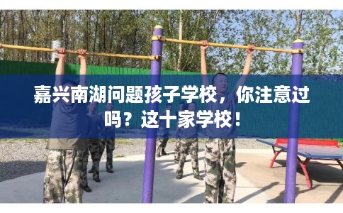 嘉兴南湖问题孩子学校，你注意过吗？这十家学校！