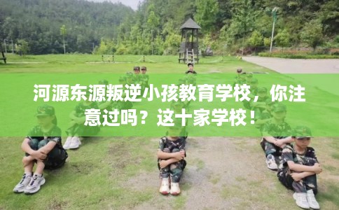河源东源叛逆小孩教育学校，你注意过吗？这十家学校！