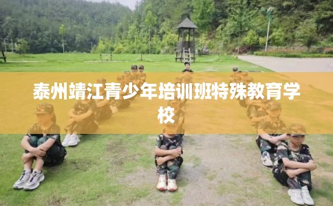 泰州靖江青少年培训班特殊教育学校