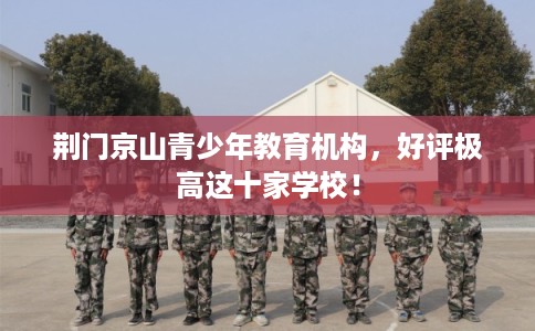 荆门京山青少年教育机构,好评极高这十家学校! 荆门京山青少年教育机构,好评极高这十家学校!