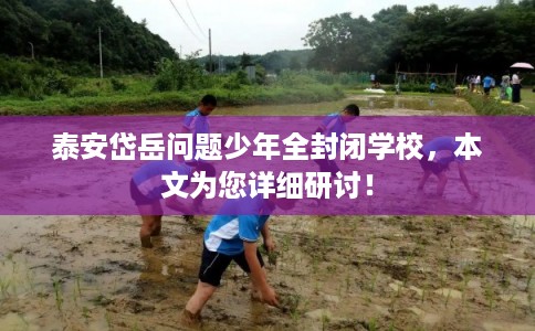 泰安岱岳问题少年全封闭学校，本文为您详细研讨！