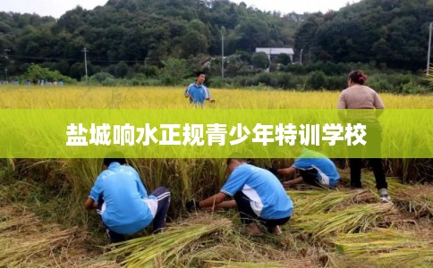 盐城响水正规青少年特训学校 盐城响水正规青少年特训学校