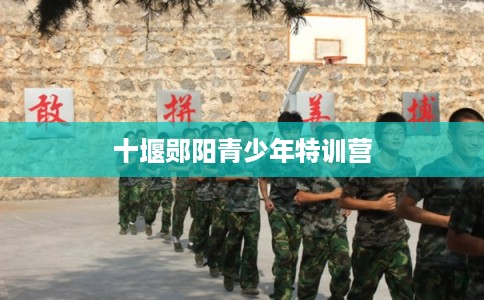 十堰郧阳青少年特训营