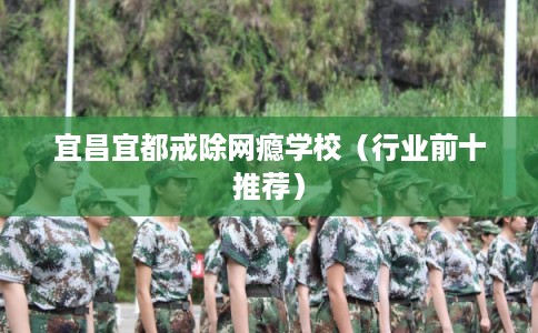 宜昌宜都戒除网瘾学校（行业前十推荐）