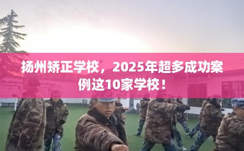 扬州矫正学校，2025年超多成功案例这10家学校！