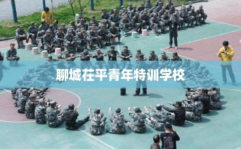 聊城茌平青年特训学校