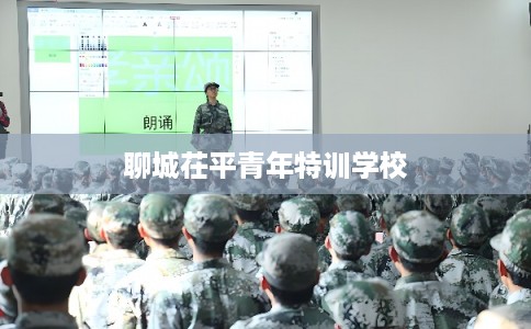 聊城茌平青年特训学校