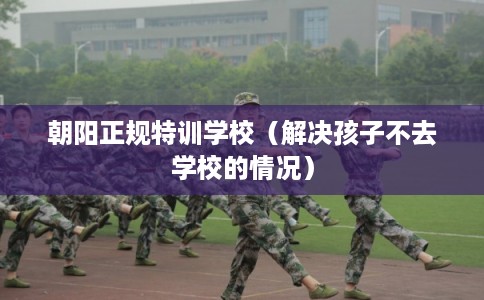 朝阳正规特训学校（解决孩子不去学校的情况）