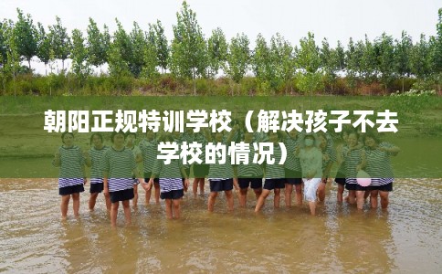 朝阳正规特训学校（解决孩子不去学校的情况）