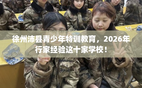 徐州沛县青少年特训教育，2026年行家经验这十家学校！
