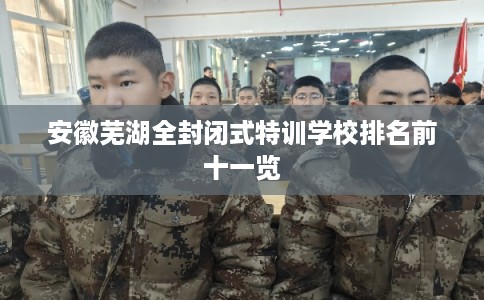 安徽芜湖全封闭式特训学校排名前十一览