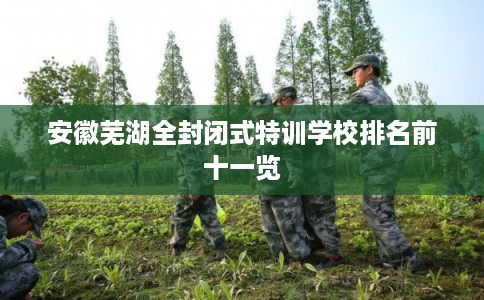 安徽芜湖全封闭式特训学校排名前十一览