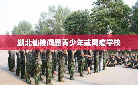 湖北仙桃问题青少年戒网瘾学校