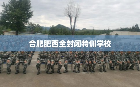 合肥肥西全封闭特训学校