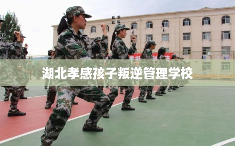 湖北孝感孩子叛逆管理学校