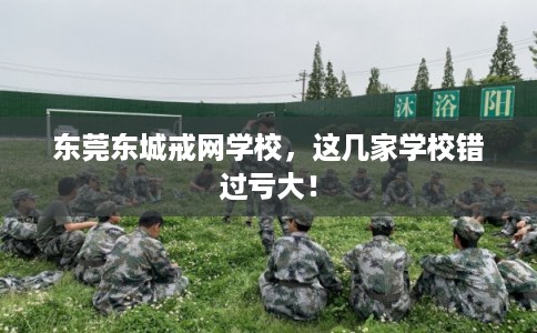 东莞东城戒网学校，这几家学校错过亏大！