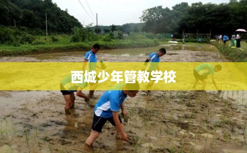西城少年管教学校