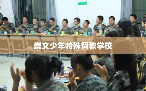 崇文少年特殊管教学校 崇文少年特殊管教学校