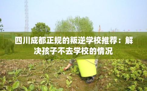 四川成都正规的叛逆学校推荐：解决孩子不去学校的情况