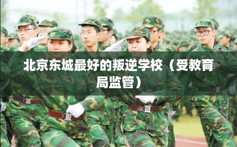 北京东城最好的叛逆学校(受教育局监管) 北京东城最好的叛逆学校(受教育局监管)
