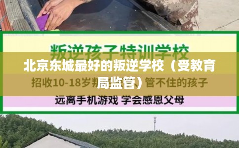 北京东城最好的叛逆学校(受教育局监管) 北京东城最好的叛逆学校(受教育局监管)