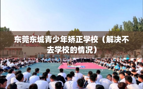 东莞东城青少年矫正学校（解决不去学校的情况）
