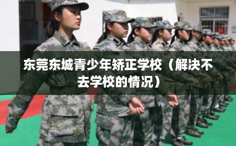 东莞东城青少年矫正学校（解决不去学校的情况）