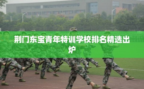 荆门东宝青年特训学校排名精选出炉