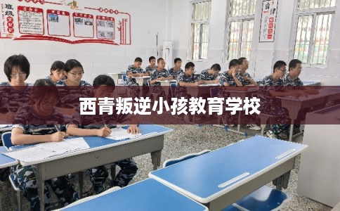 西青叛逆小孩教育学校 西青叛逆小孩教育学校