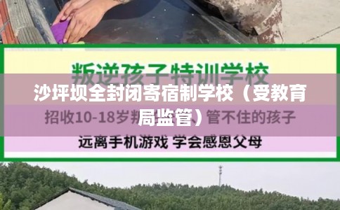 沙坪坝全封闭寄宿制学校(受教育局监管) 沙坪坝全封闭寄宿制学校(受教育局监管)