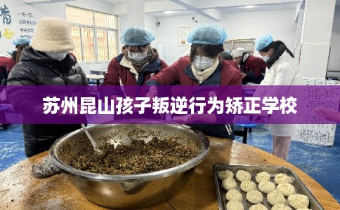 苏州昆山孩子叛逆行为矫正学校 苏州昆山孩子叛逆行为矫正学校