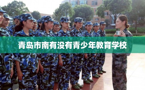 青岛市南有没有青少年教育学校 青岛市南有没有青少年教育学校