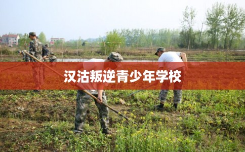 汉沽叛逆青少年学校