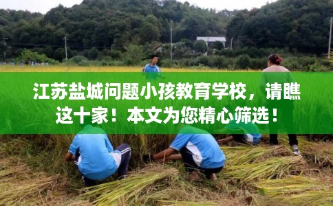 江苏盐城问题小孩教育学校，请瞧这十家！本文为您精心筛选！