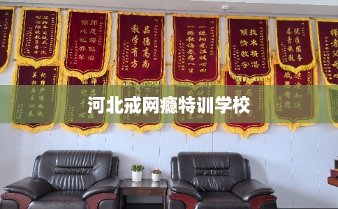 河北戒网瘾特训学校 河北戒网瘾特训学校