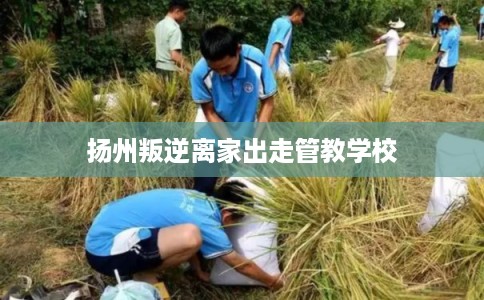 扬州叛逆离家出走管教学校