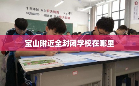 宝山附近全封闭学校在哪里