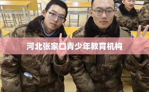 河北张家口青少年教育机构