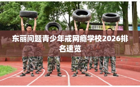 东丽问题青少年戒网瘾学校2026排名速览
