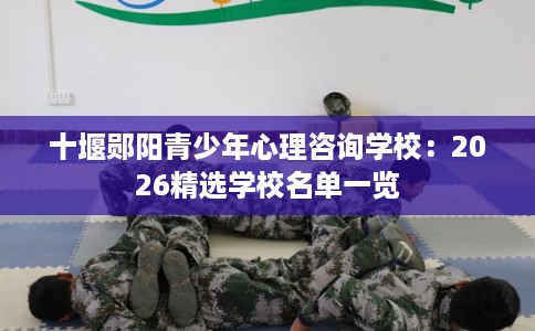 十堰郧阳青少年心理咨询学校:2026精选学校名单一览 十堰郧阳青少年心理咨询学校:2026精选学校名单一览
