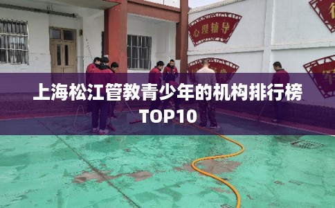 上海松江管教青少年的机构排行榜TOP10 上海松江管教青少年的机构排行榜TOP10