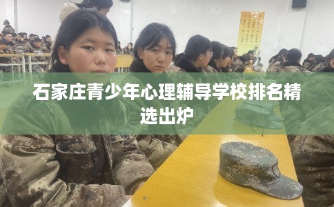 石家庄青少年心理辅导学校排名精选出炉
